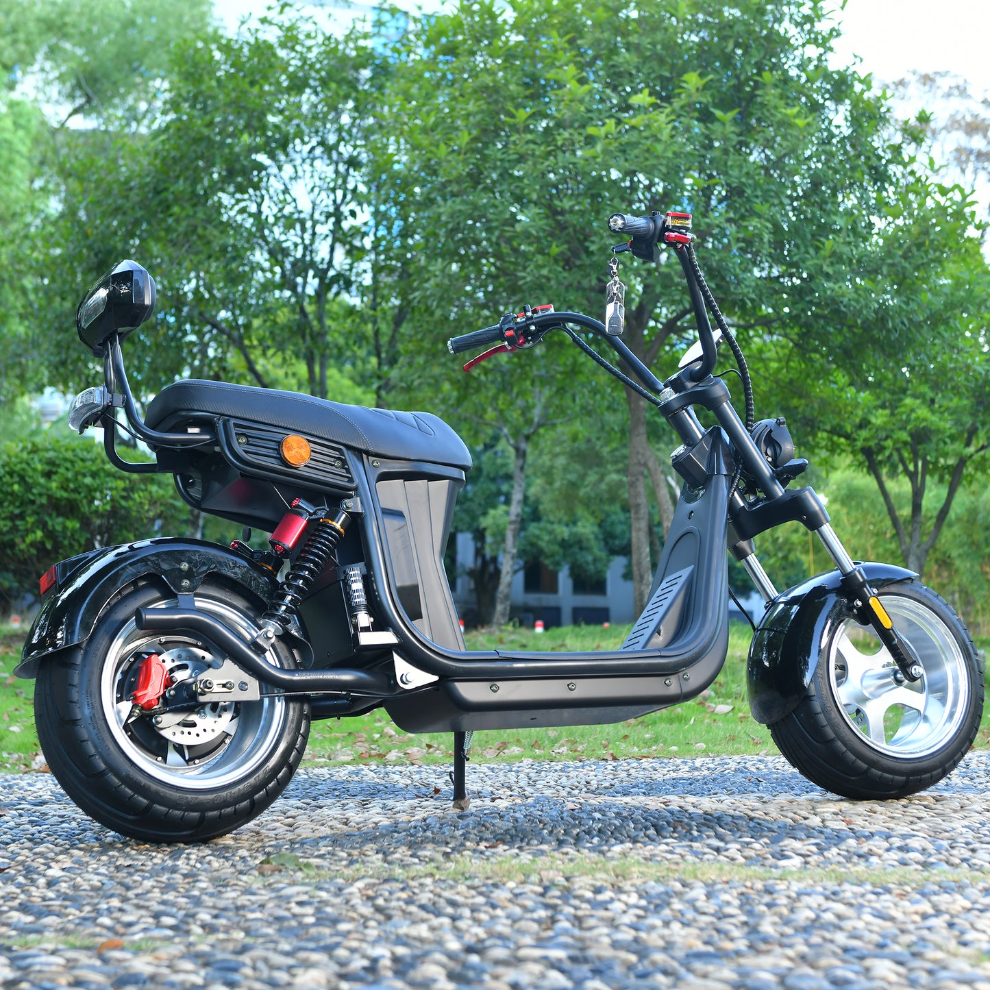 3000W Adult Electric E Scooter
