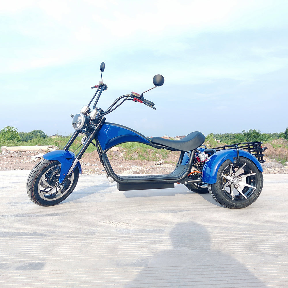 Citycoco 1500W Adults Electric Motorcycle Max Load 250KG Mobility Scooter Electric Three Wheeler