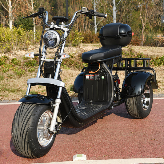 3 Wheel Electric Motorcycle 3000W Electrice Scooter