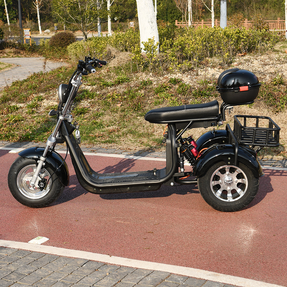 3 Wheel Electric Motorcycle 3000W Electrice Scooter