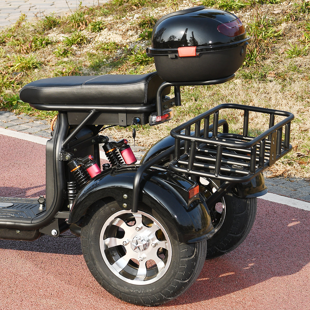 3 Wheel Electric Motorcycle 3000W Electrice Scooter