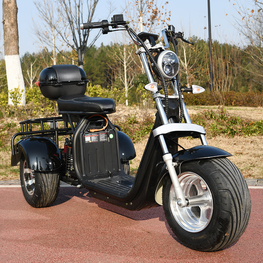 3 Wheel Electric Motorcycle 3000W Electrice Scooter