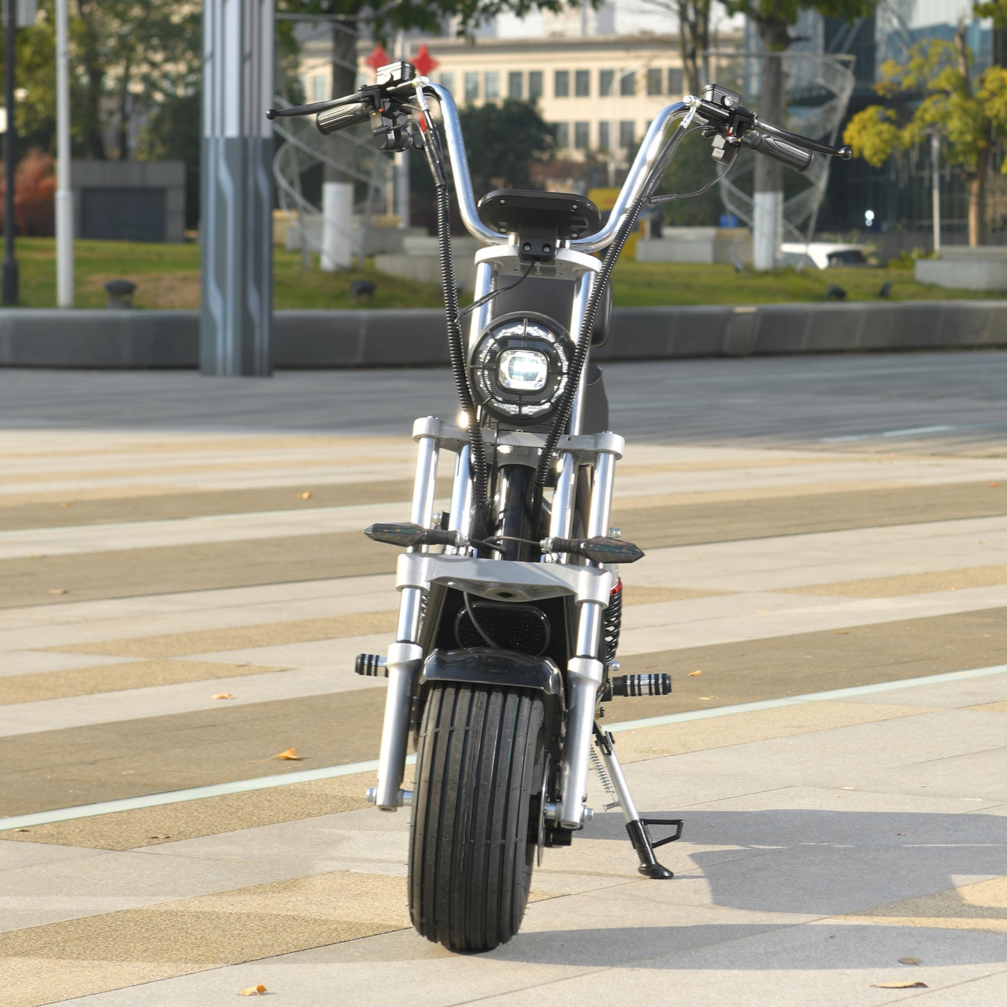 2000W Mini Haley Electric Scooter Citycoco for Adults