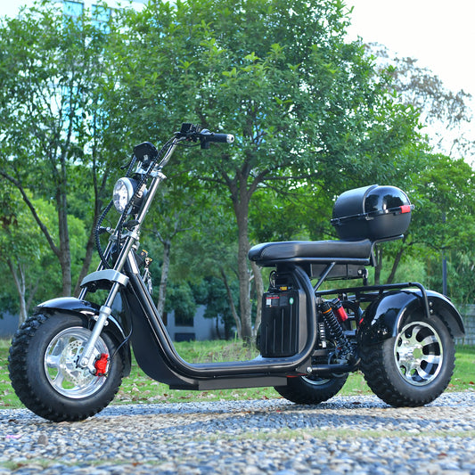 3 Wheel Electric Motorcycle 3000W