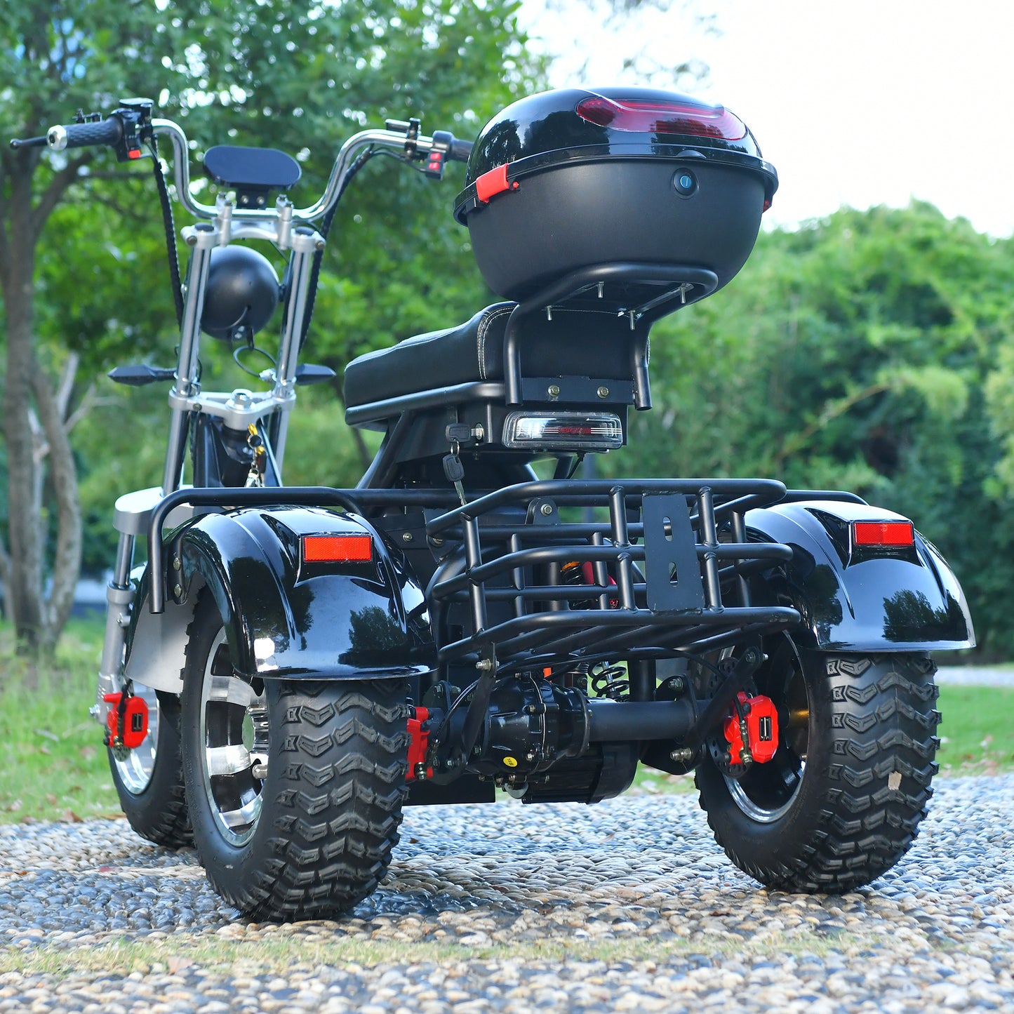3 Wheel Electric Motorcycle 3000W