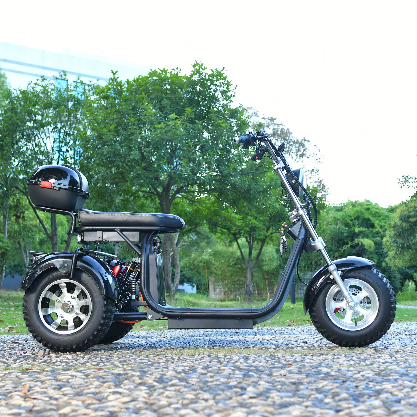 3 Wheel Electric Motorcycle 3000W