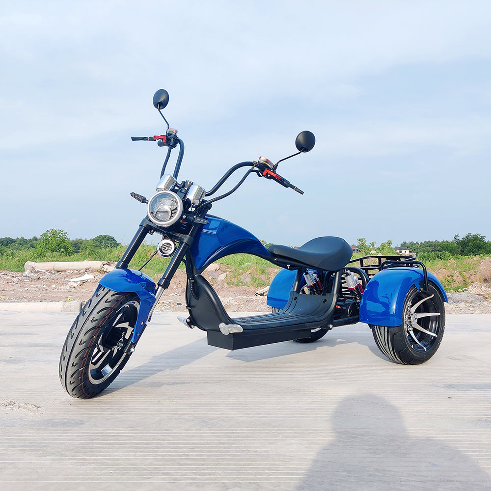 Citycoco 1500W Adults Electric Motorcycle Max Load 250KG Mobility Scooter Electric Three Wheeler