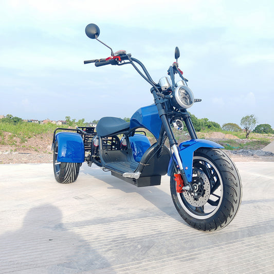 Citycoco 1500W Adults Electric Motorcycle Max Load 250KG Mobility Scooter Electric Three Wheeler