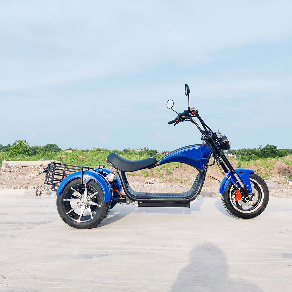Citycoco 1500W Adults Electric Motorcycle Max Load 250KG Mobility Scooter Electric Three Wheeler