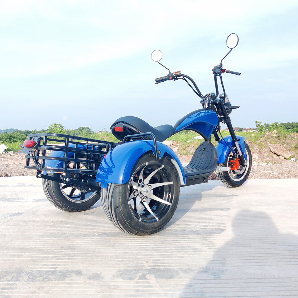 Citycoco 1500W Adults Electric Motorcycle Max Load 250KG Mobility Scooter Electric Three Wheeler