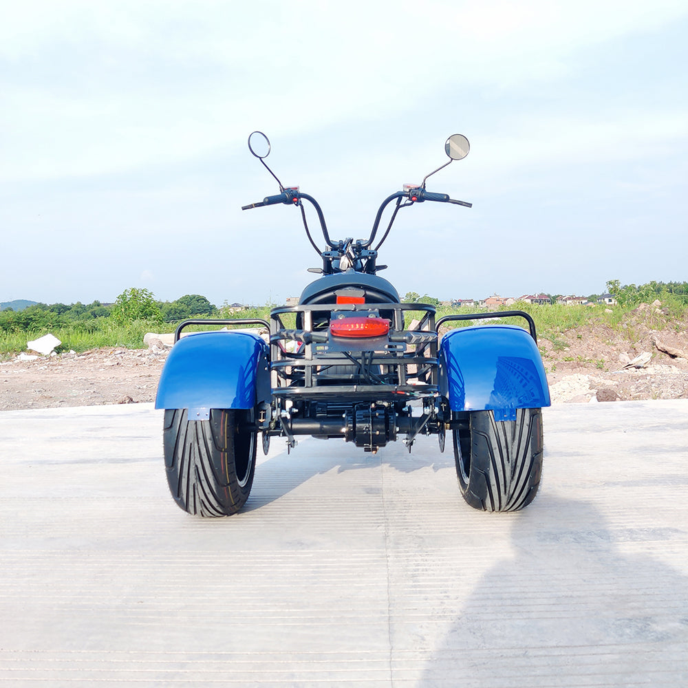 Citycoco 1500W Adults Electric Motorcycle Max Load 250KG Mobility Scooter Electric Three Wheeler